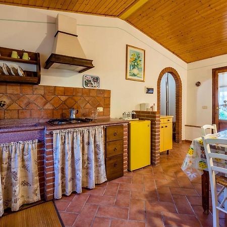 그레세토 Agriturismo Il Feudo 게스트하우스 외부 사진