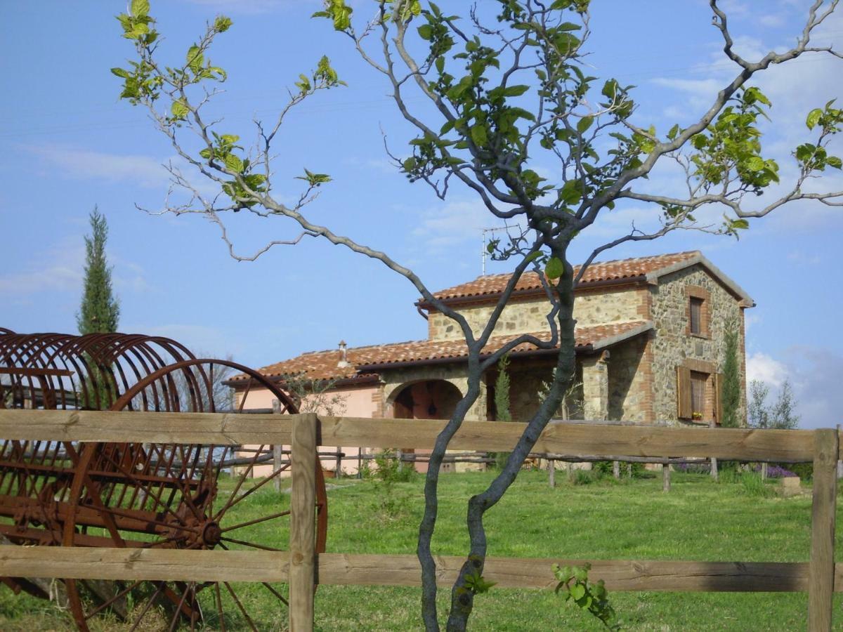 그레세토 Agriturismo Il Feudo 게스트하우스 외부 사진